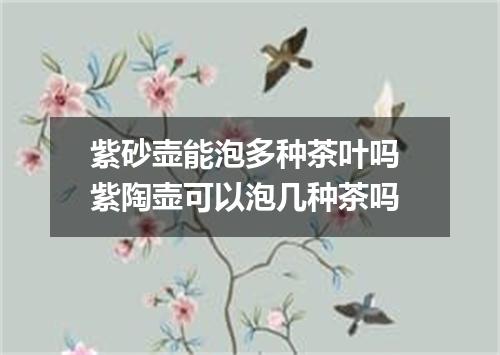 紫砂壶能泡多种茶叶吗 紫陶壶可以泡几种茶吗