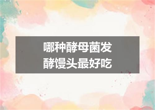 哪种酵母菌发酵馒头最好吃