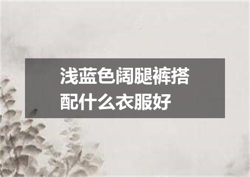 浅蓝色阔腿裤搭配什么衣服好