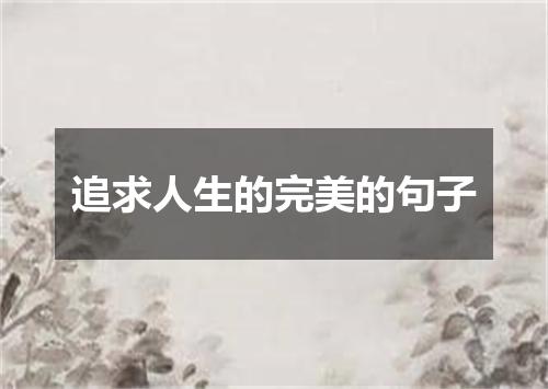 追求人生的完美的句子