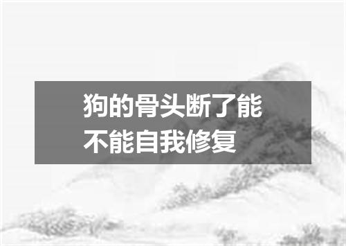 狗的骨头断了能不能自我修复