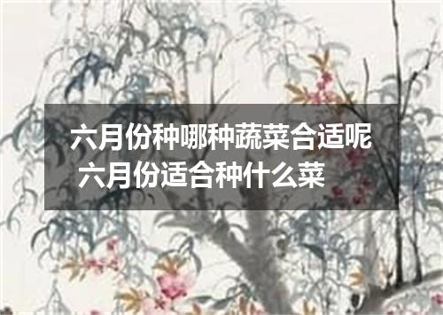 六月份种哪种蔬菜合适呢 六月份适合种什么菜