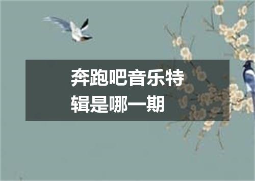 奔跑吧音乐特辑是哪一期