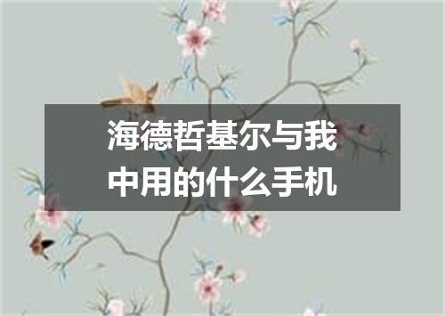 海德哲基尔与我中用的什么手机