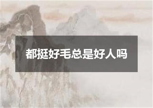 都挺好毛总是好人吗