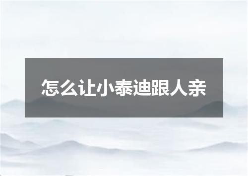 怎么让小泰迪跟人亲