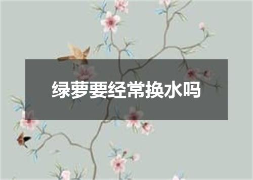 绿萝要经常换水吗
