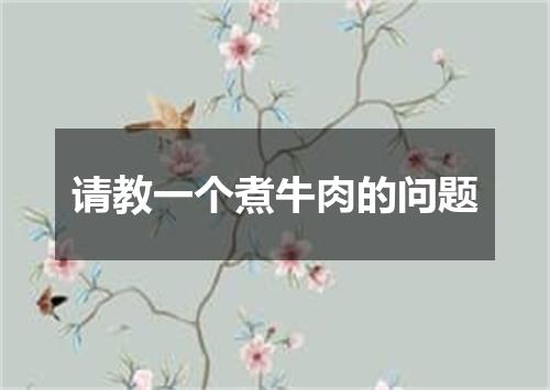 请教一个煮牛肉的问题