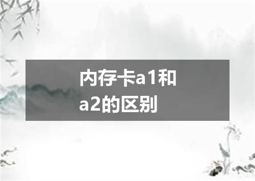 内存卡a1和a2的区别