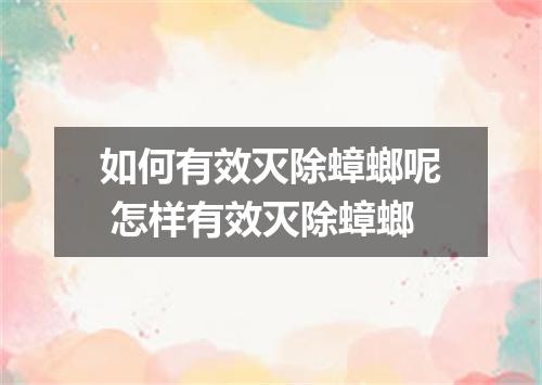 如何有效灭除蟑螂呢 怎样有效灭除蟑螂