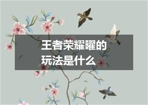 王者荣耀曜的玩法是什么