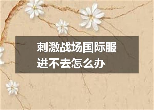 刺激战场国际服进不去怎么办