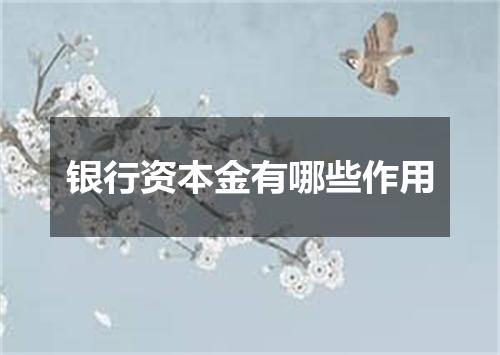 银行资本金有哪些作用