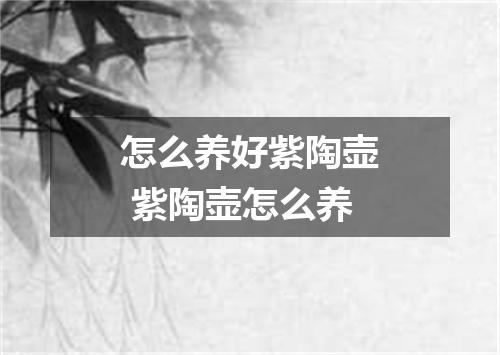 怎么养好紫陶壶 紫陶壶怎么养