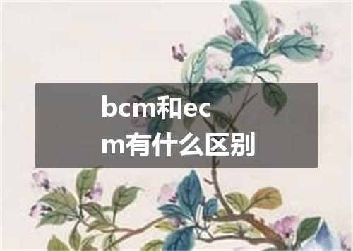 bcm和ecm有什么区别