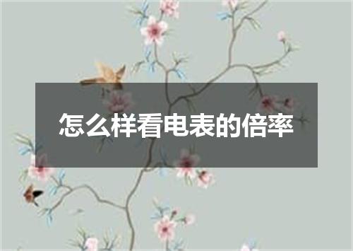 怎么样看电表的倍率