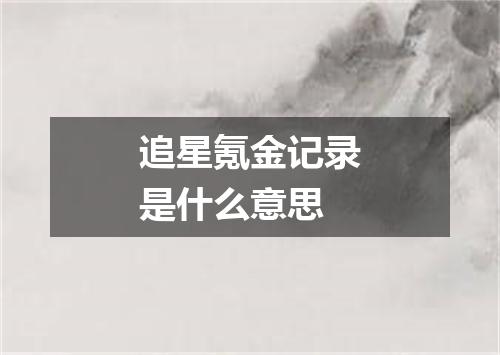 追星氪金记录是什么意思