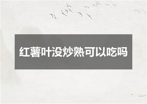 红薯叶没炒熟可以吃吗