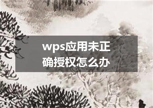 wps应用未正确授权怎么办