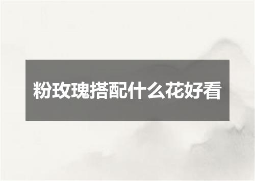 粉玫瑰搭配什么花好看