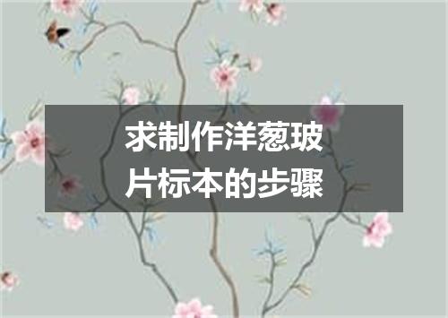 求制作洋葱玻片标本的步骤