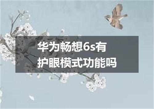 华为畅想6s有护眼模式功能吗