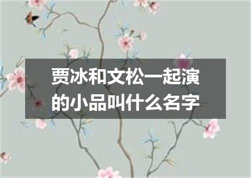 贾冰和文松一起演的小品叫什么名字