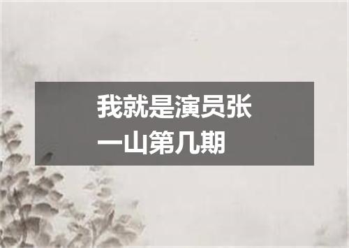 我就是演员张一山第几期