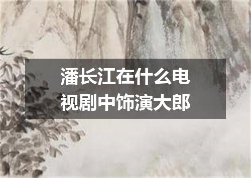 潘长江在什么电视剧中饰演大郎