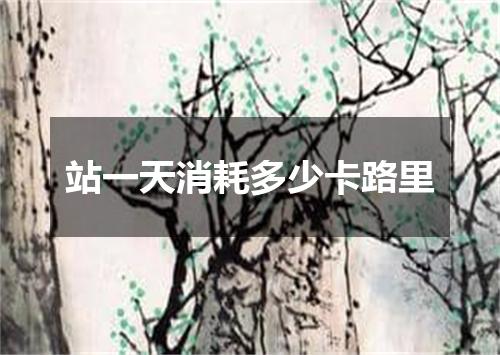 站一天消耗多少卡路里