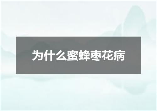 为什么蜜蜂枣花病