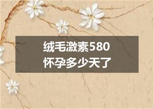 绒毛激素580怀孕多少天了