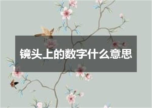 镜头上的数字什么意思