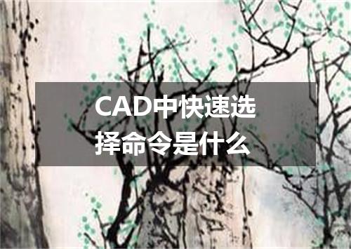 CAD中快速选择命令是什么