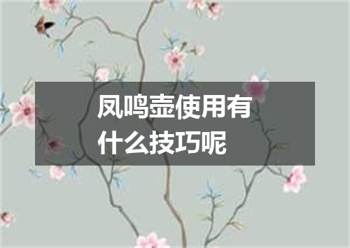 凤鸣壶使用有什么技巧呢