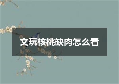 文玩核桃缺肉怎么看