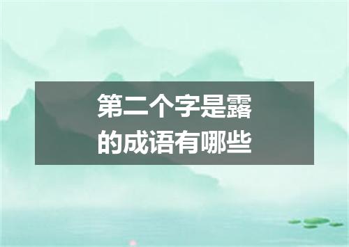 第二个字是露的成语有哪些