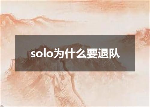 solo为什么要退队