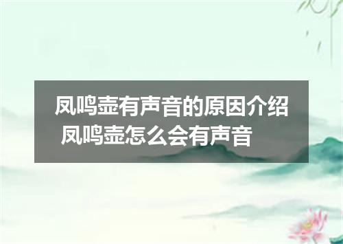 凤鸣壶有声音的原因介绍 凤鸣壶怎么会有声音