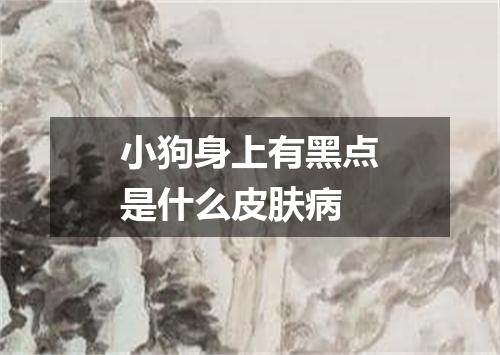 小狗身上有黑点是什么皮肤病