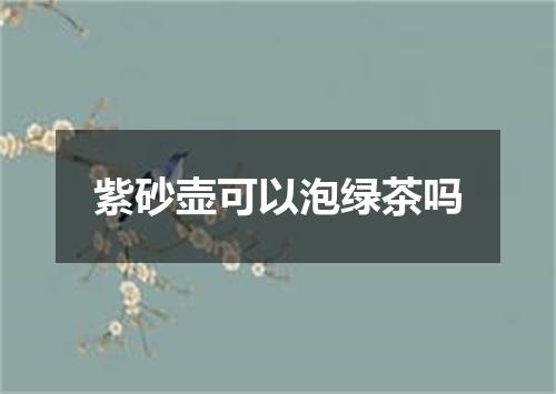 紫砂壶可以泡绿茶吗