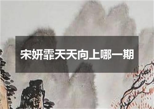 宋妍霏天天向上哪一期