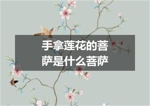 手拿莲花的菩萨是什么菩萨