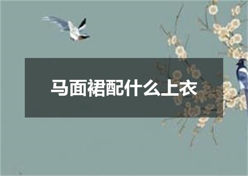 马面裙配什么上衣