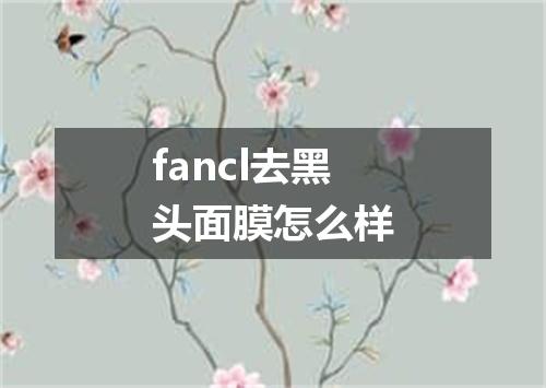 fancl去黑头面膜怎么样
