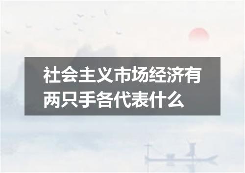 社会主义市场经济有两只手各代表什么