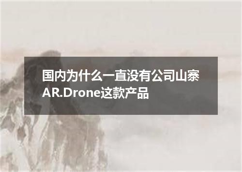 国内为什么一直没有公司山寨AR.Drone这款产品