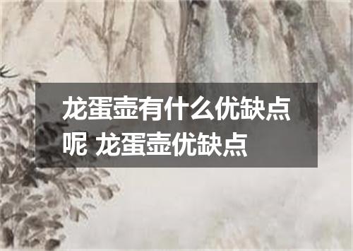 龙蛋壶有什么优缺点呢 龙蛋壶优缺点