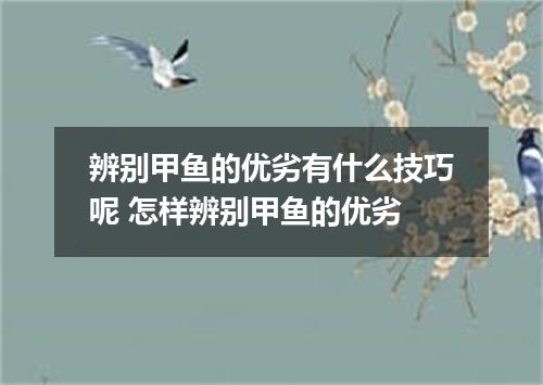 辨别甲鱼的优劣有什么技巧呢 怎样辨别甲鱼的优劣