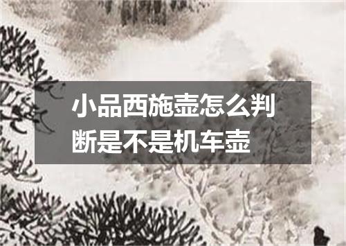 小品西施壶怎么判断是不是机车壶